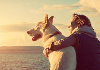 Dogs have been trusty companions for thousands of years (ABO PHOTOGRAPHY / Shutterstock.com)