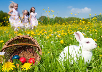 As an Easter bunny sits beside a basket of colorful eggs, children are out searching on an Easter egg hunt.
