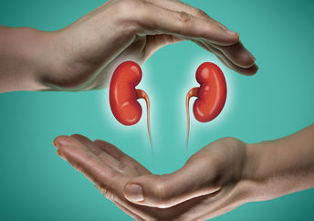 Human kidneys and caring hands