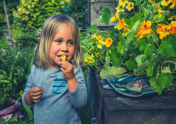 Edible flowers are packed with the best gut health benefits.