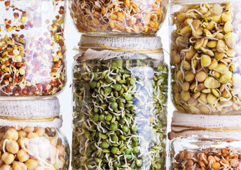 A selection of seeds sprouting in a jar.