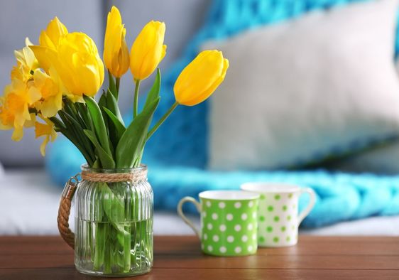 Enjoying beautiful spring tulips in your home.