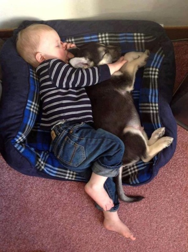 Cute photo of baby with pet dog