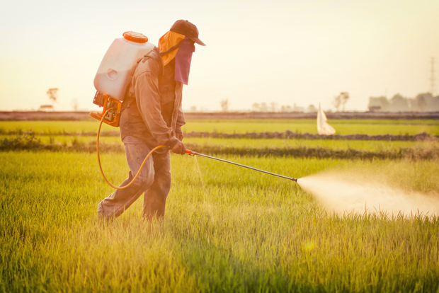 farmer spraying pesticide