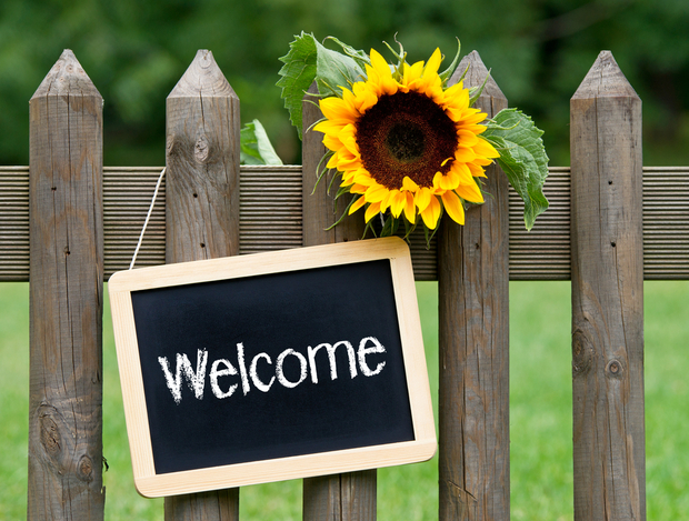 Welcome sign sunflower