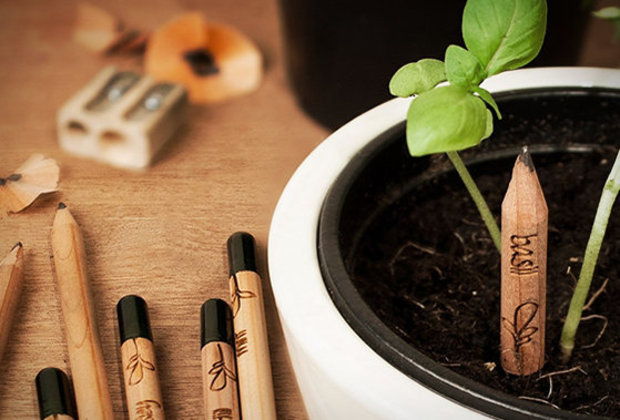 5 Green Products You Can Use Now and Plant Later Sprout basil pencil