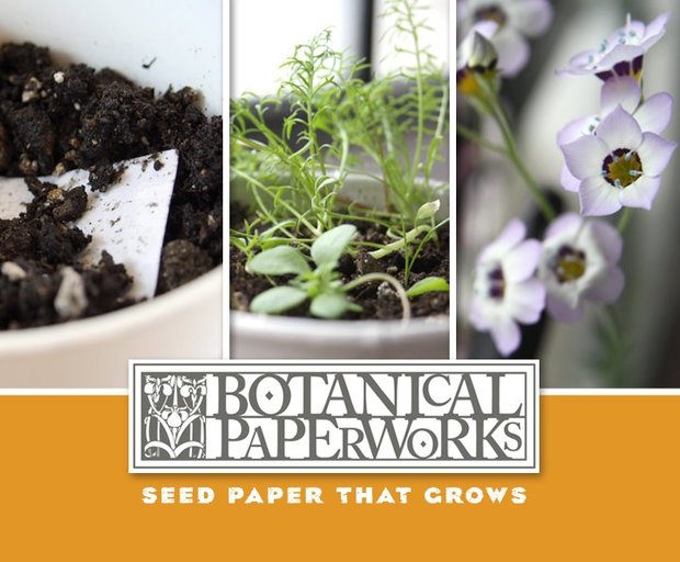 5 Green Products You Can Use Now and Plant Later The lifecycle of a Botanical Paperworks product