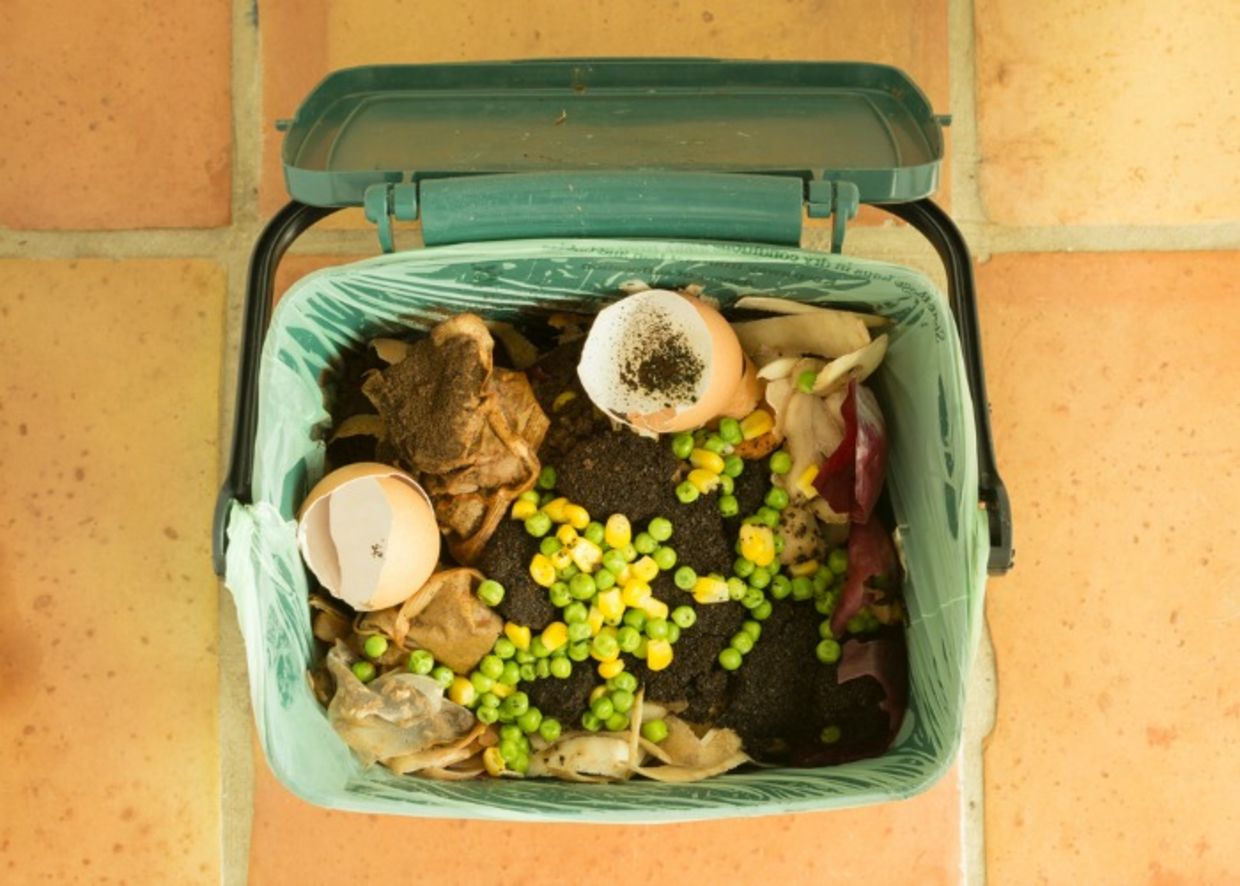 compost bin with food