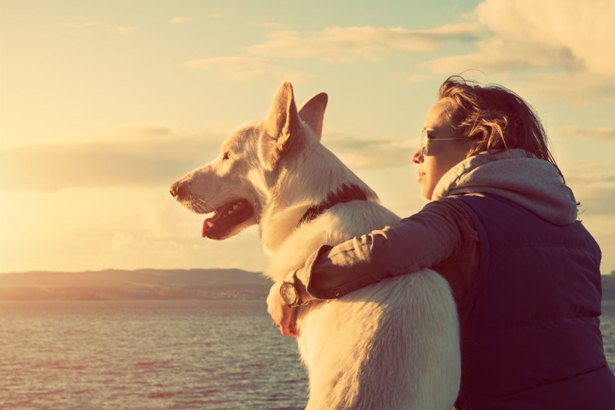Dogs have been trusty companions for thousands of years (ABO PHOTOGRAPHY / Shutterstock.com)