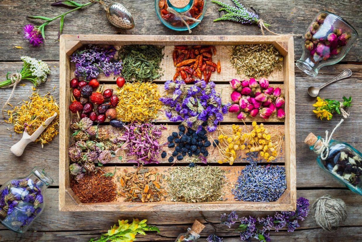 5 Must-Know Herbs for Healing and Well-Being - Goodnet