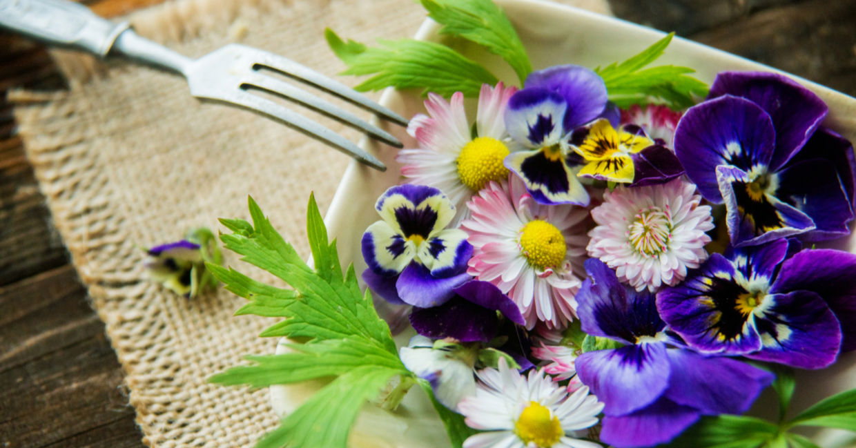 9 Flowers You Can Eat And Enjoy - Goodnet