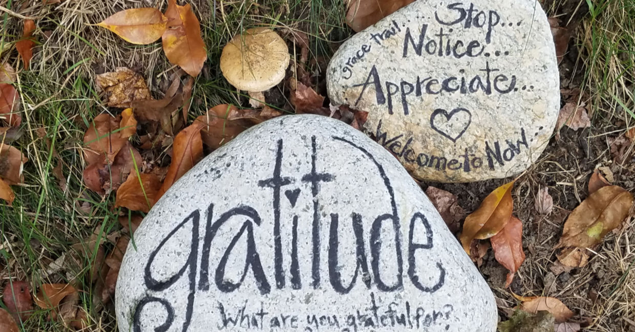 Words of appreciation written on stones read Gratitude, Stop, Notice, and Welcome to Now!