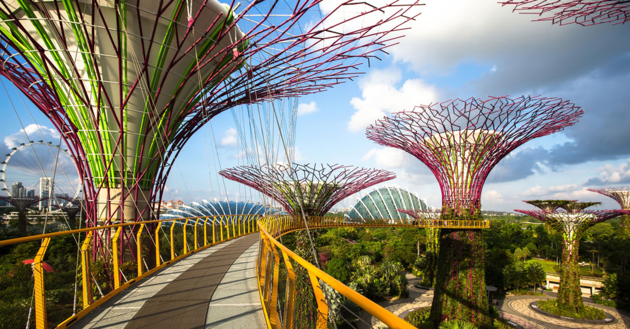 The bridge at Gardens by the Bay.