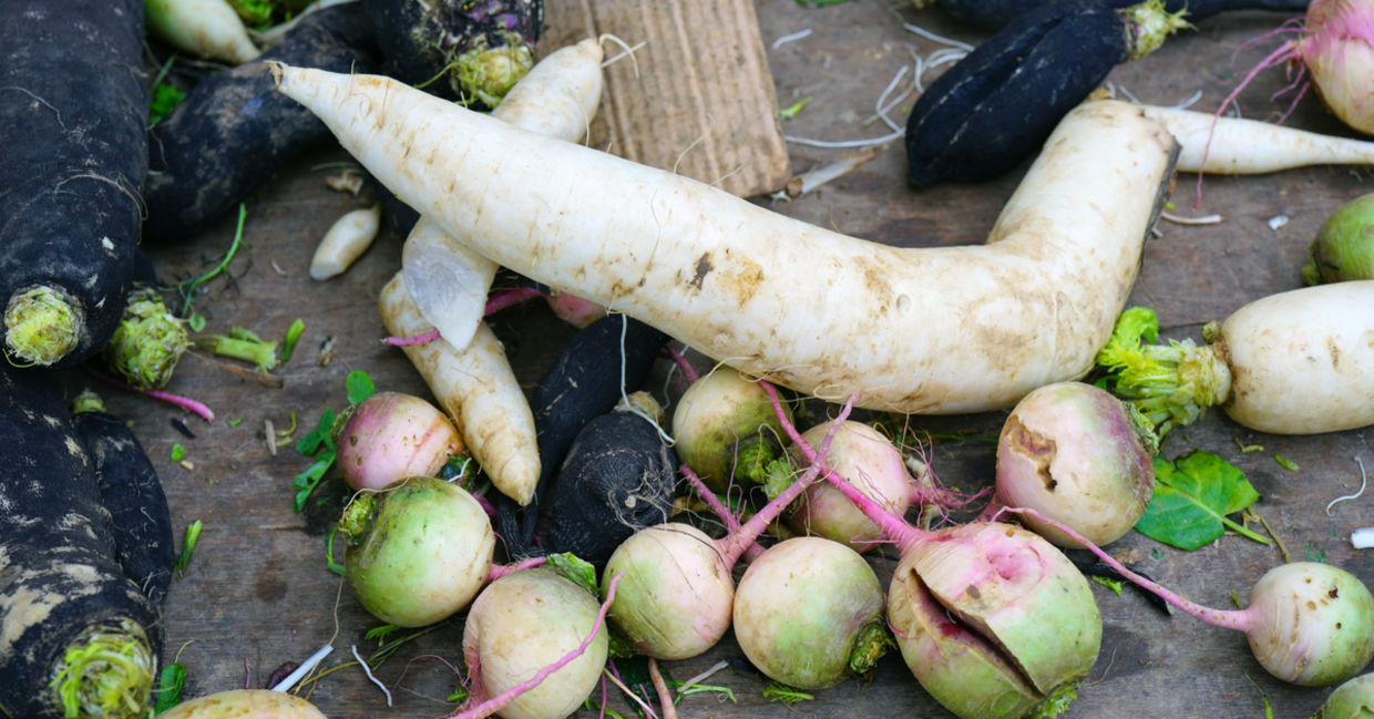 Varieties of radishes including the Japanese daikon.