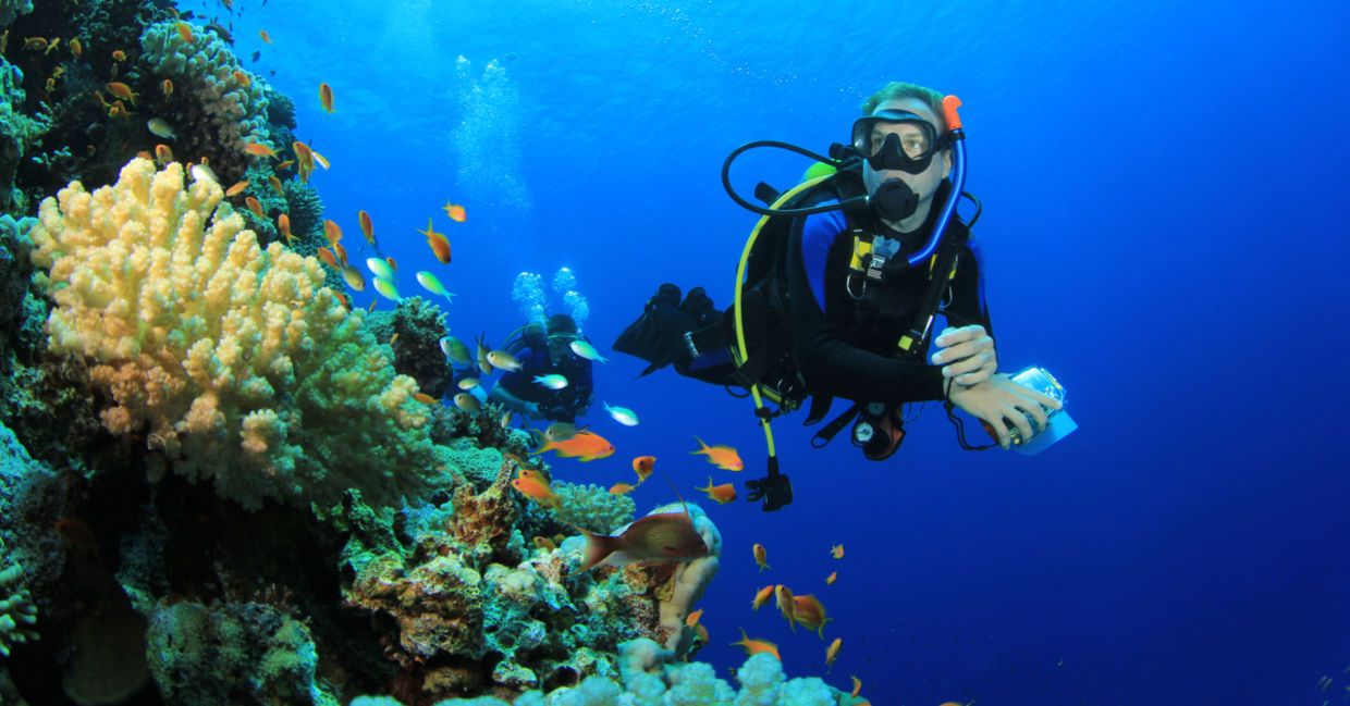 Scuba diver near a coral reef.