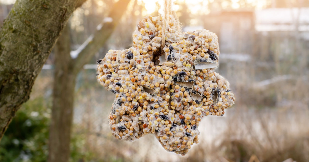 Homemade suet is hanging from a tree branch in a wintery garden.
