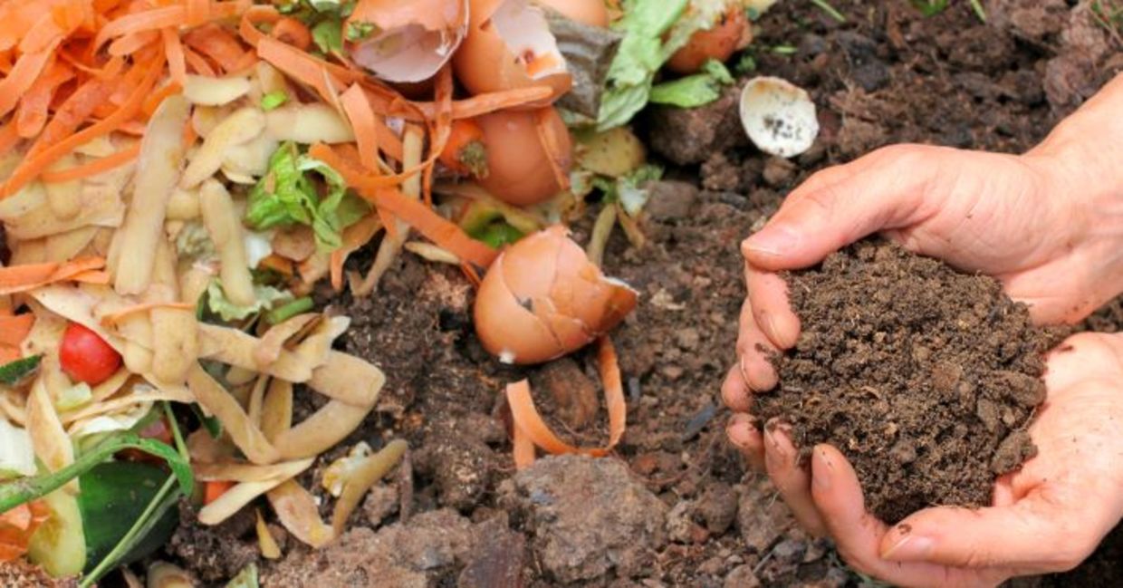 Composting is good for the environment.