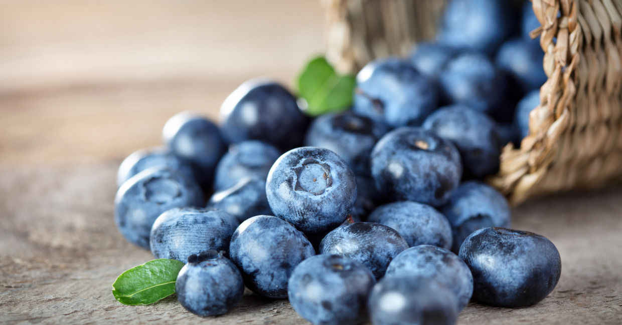 Blueberries are a superfood.