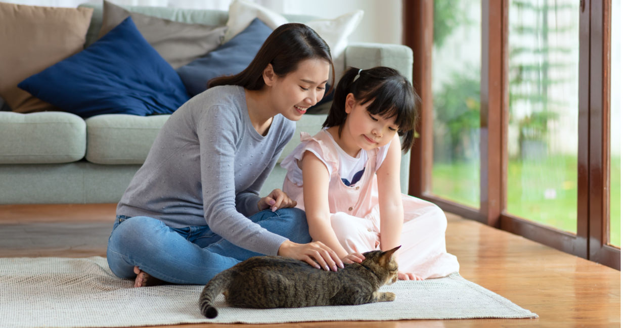Petting a cat can help reduce anxiety and stress.
