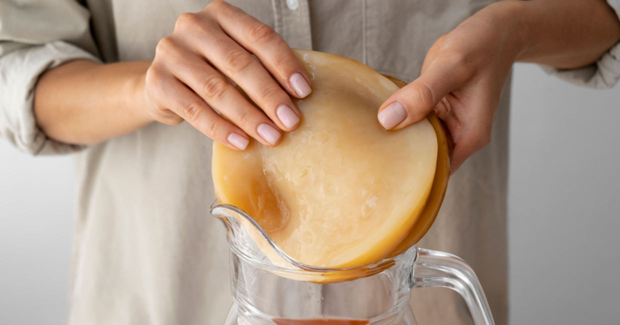 A SCOBY used for making kombucha.