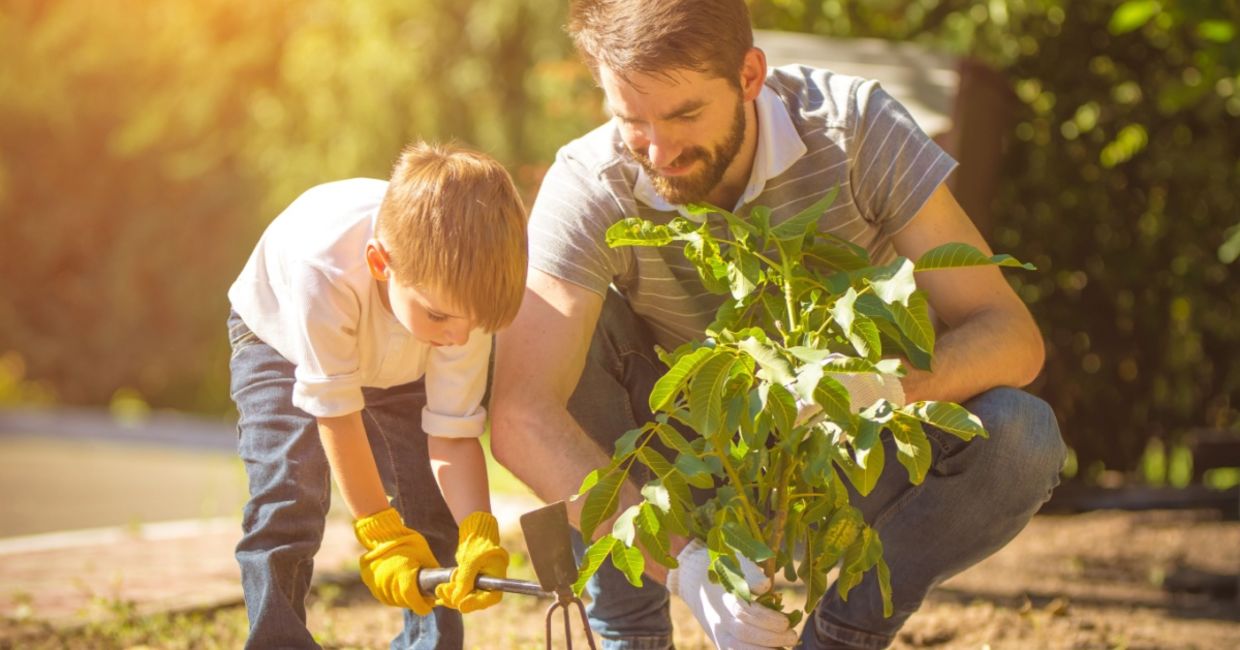 A father and son planting a tree.
