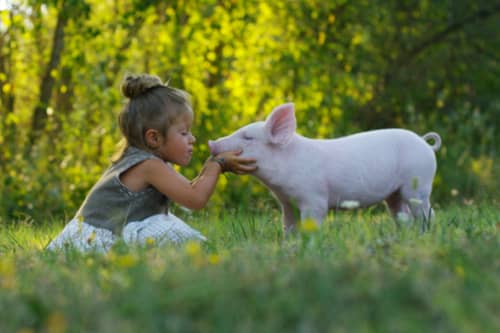 5 Must-Know Beauty Companies That Make Cruelty-Free Products