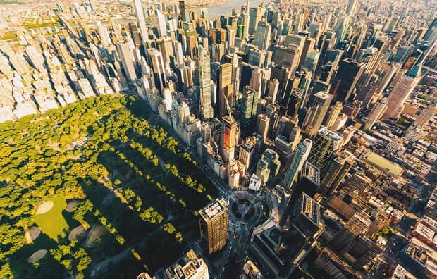 These Maps of Street Trees Are Making Cities More Livable