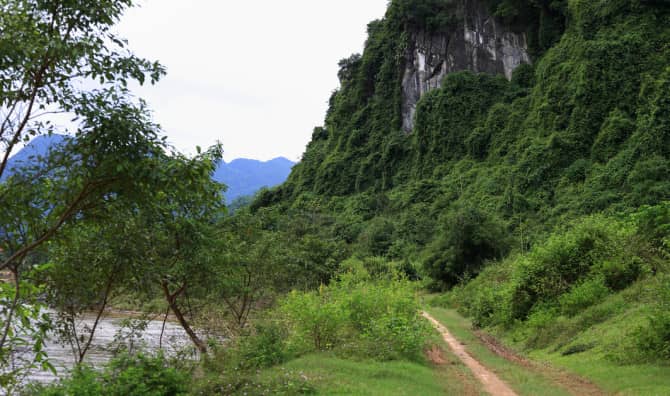 Nature Reserve in Vietnam Protects the Asian Unicorn