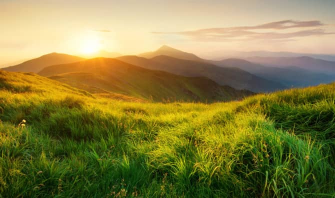 Tune In To Nature!