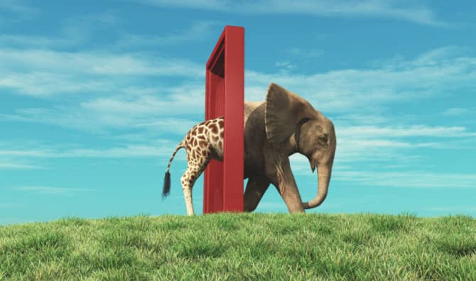 5 Steps to Navigate a Transition
