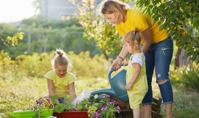 The Beauty of Random Gardening