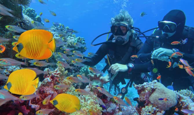 Discover the Amazing Benefits of Underwater Exploration