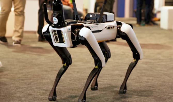 Innovative Robot Keep Airfields Clear of Wildlife