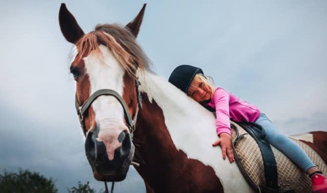 Horses Can Change People’s Lives