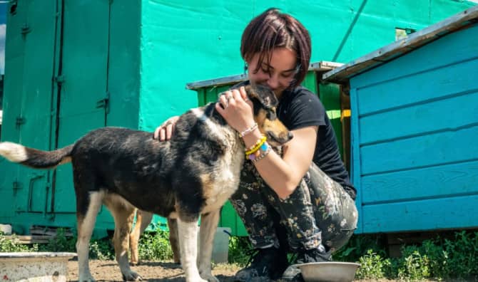 Incredible Interstate Cooperation Saves Pets from Hurricanes