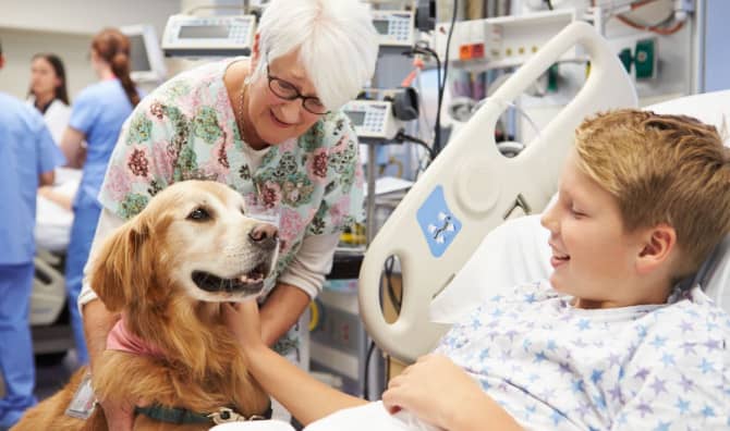 Animal Therapy Helps Support Mental Wellbeing