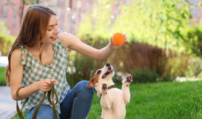 Playing With a Dog Could Be the Perfect Stress Reliever For You Both!