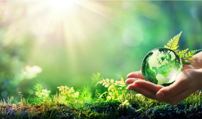 5 Top Eco Websites You Should Know