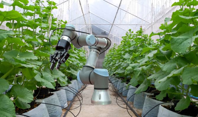 7 Healthy Food Inventions for You and the Planet