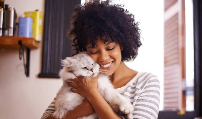 9 Fun Facts About Cats That Will Make Your Day