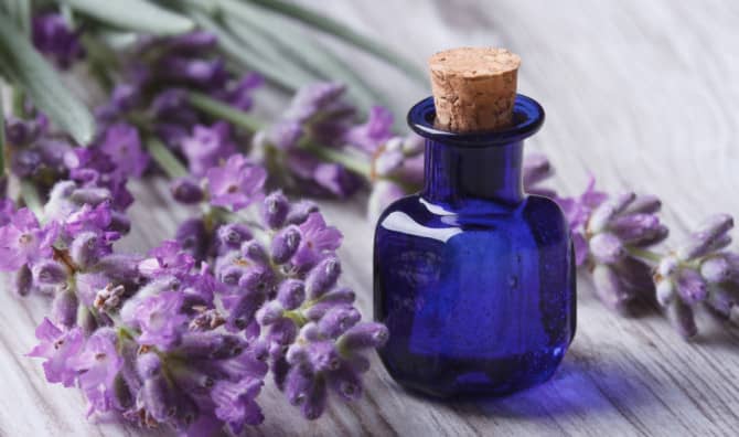 Aromatherapy Oils Help Memory and Cognition