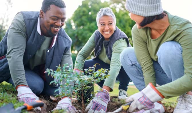 People planting a tree togather
