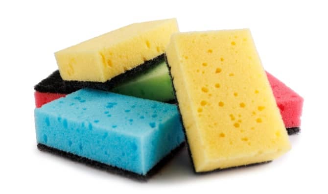 Household sponges.