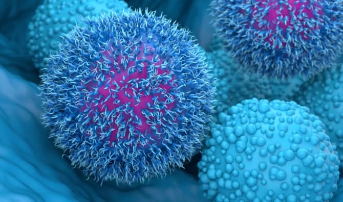 Close-up of pancreatic cancer cells.