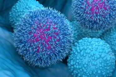 New Experimental Pancreatic Cancer Treatment Shows Promise