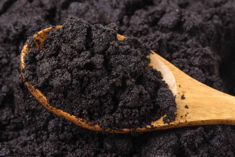 Turning Coffee Grounds Into Bio-Fuel in Just 90 Seconds