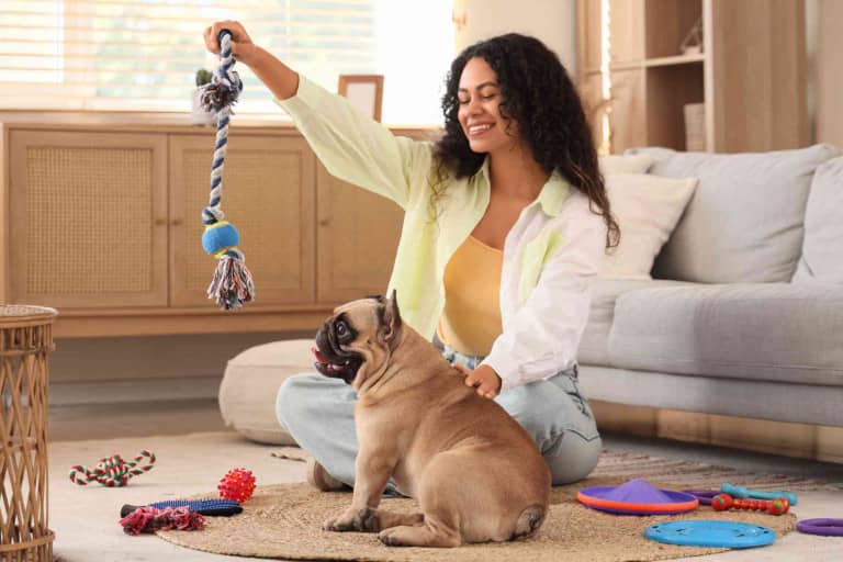Celebrating Furry Canine Companions on National Dog Day