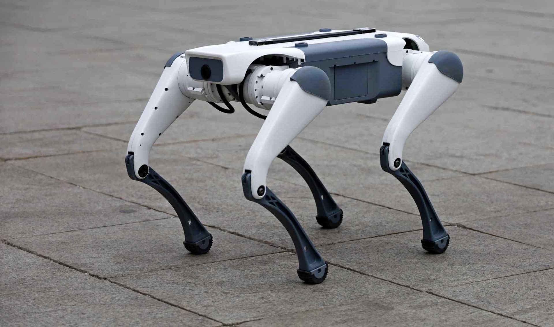 A robotic dog.