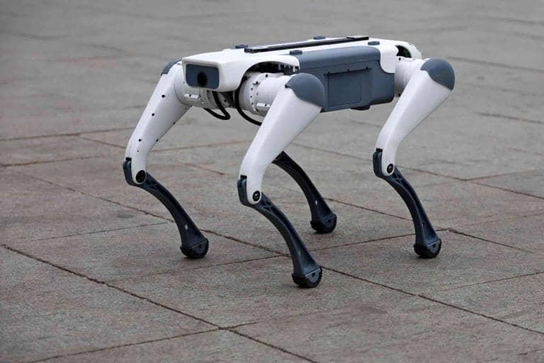 Meet the New Robot at New York’s LaGuardia Airport