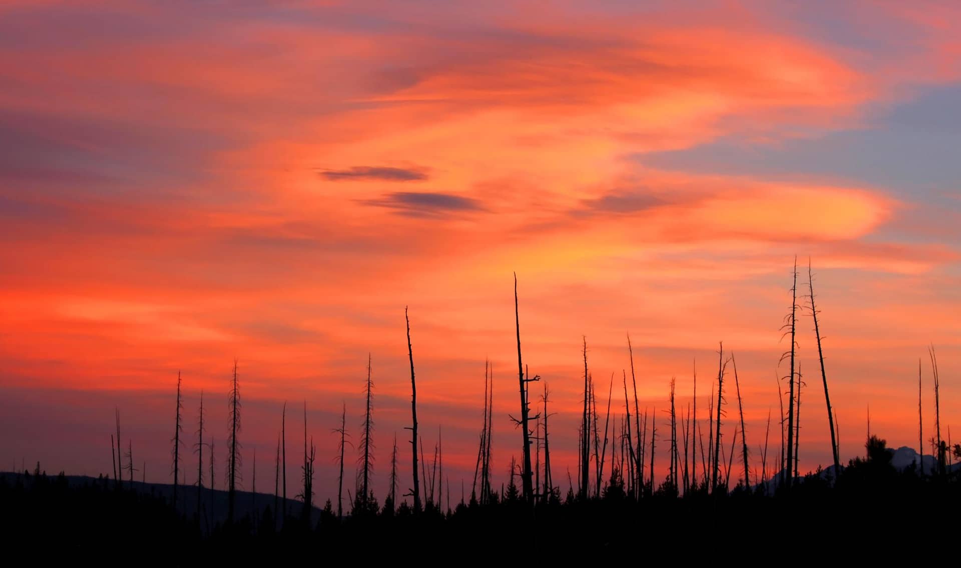 Sunset and bright red sky.